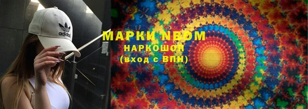 индика Медногорск