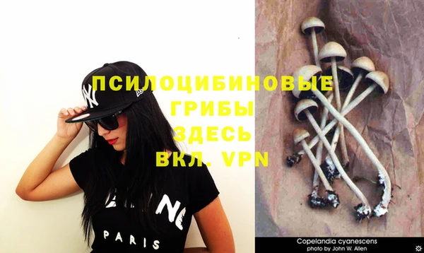 синтетический гашиш Абдулино