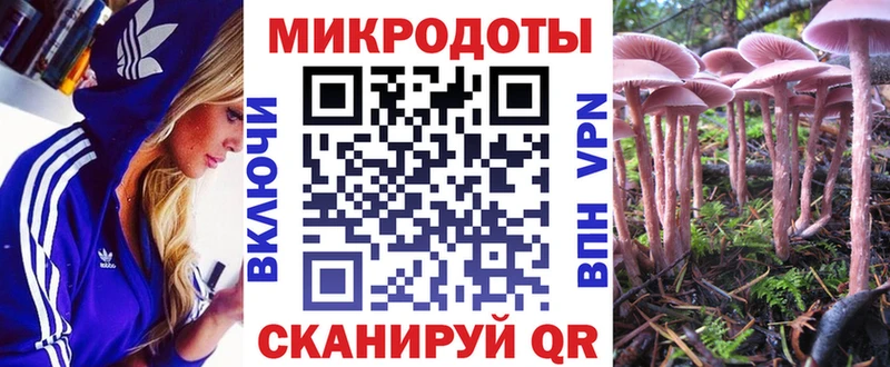 Галлюциногенные грибы Psilocybine cubensis  ссылка на мегу онион  Агрыз 
